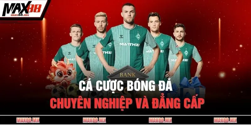 Cá cược bóng đá chuyên nghiệp và đẳng cấp