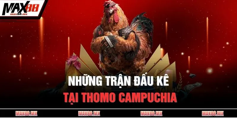 Những trận đấu kê tại Thomo Campuchia