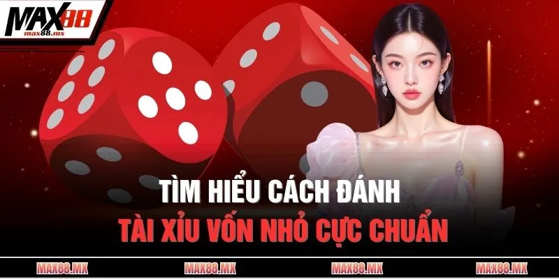 Tìm hiểu cách đánh tài xỉu vốn nhỏ cực chuẩn