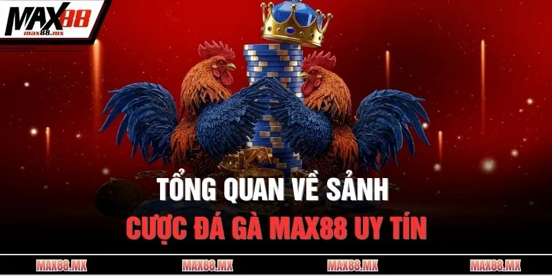 Tổng quan về sảnh cược đá gà MAX88 uy tín